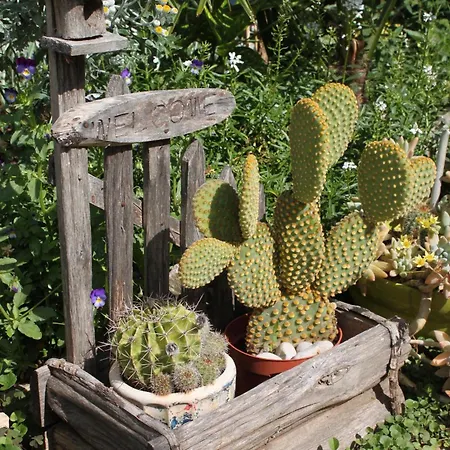 Apartmán With Parking Space - 927 *