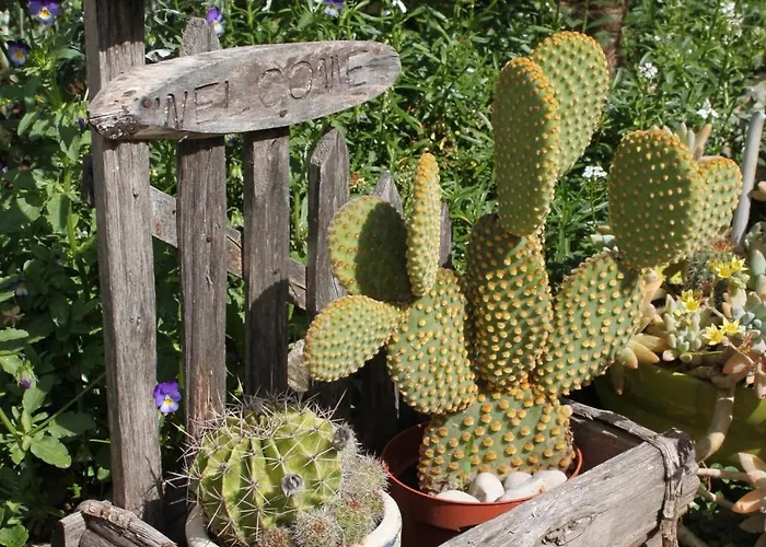 דירה With Parking Space - 927 *